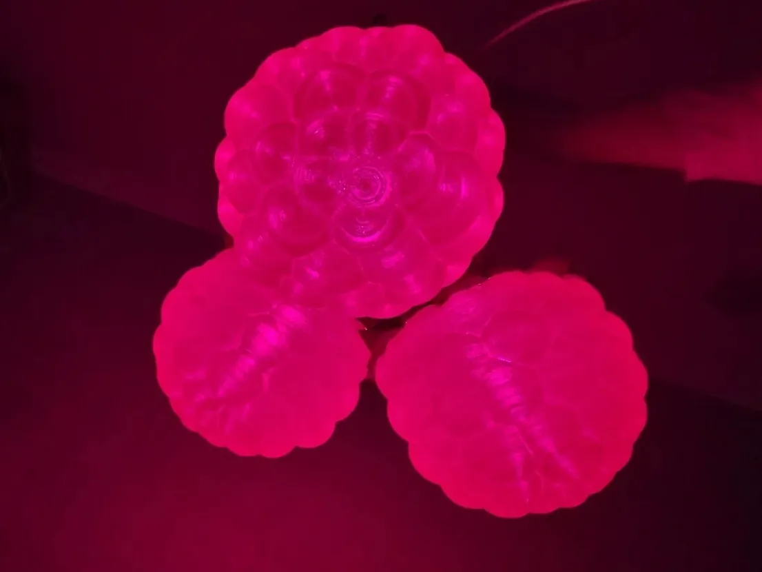 Люстры для кафе «Ягода Малинка», Лазаревское